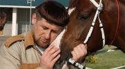 obrazek