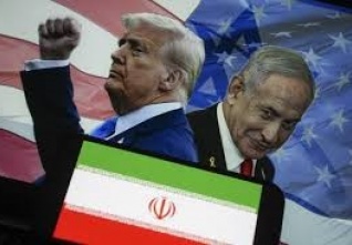 donald bibi.jpeg