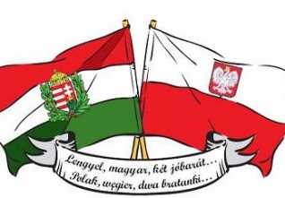 polak madar