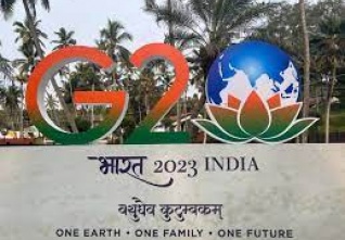 g20 indie