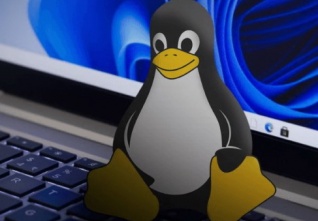 linux