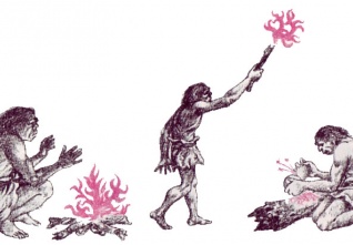 ohen homo erectus
