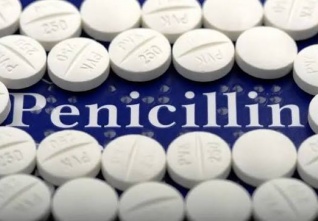 penicillin