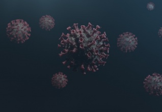 virus